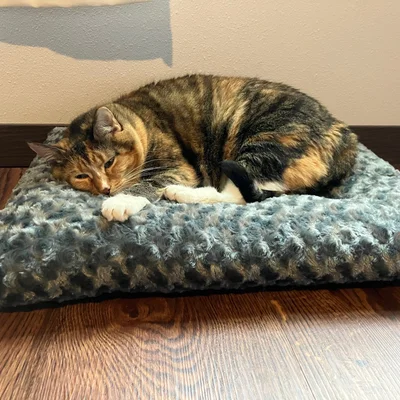 Sophie